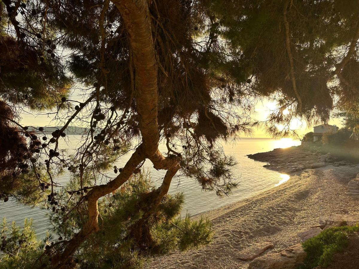 مبيت وإفطار زافالا Pansion Braco المظهر الخارجي الصورة