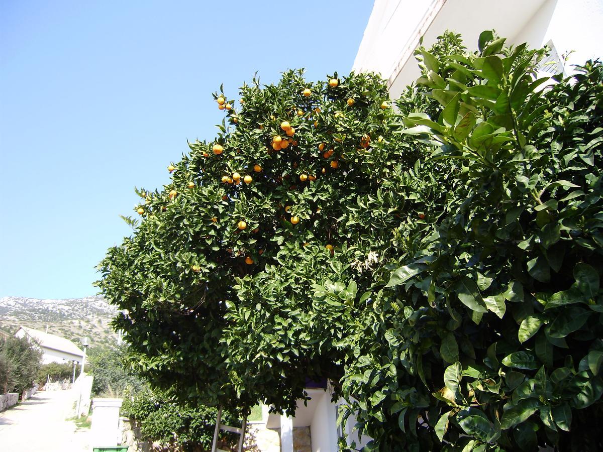 مبيت وإفطار زافالا Pansion Braco المظهر الخارجي الصورة
